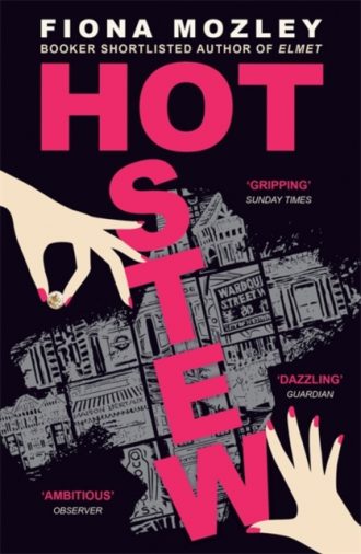 Hot Stew : a riotous novel about sex and money in Soho, from the Booker-shortlisted author of Elmet
