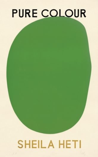 Pure Colour : the new novel from the author of Motherhood and How Should A Person Be?