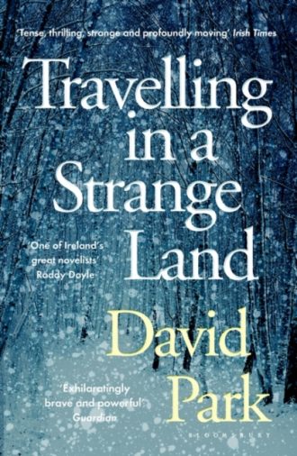 Travelling in a Strange Land : Winner of the Kerry Group Irish Novel of the Year