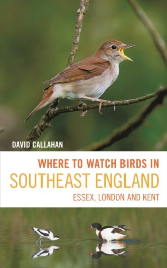 Where to Watch Birds in Southeast England : Essex, London and Kent