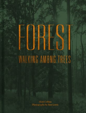 Forest : Walking among trees