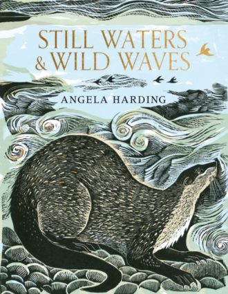 Still Waters & Wild Waves : The beautiful new book from printmaker and illustrator Angela Harding