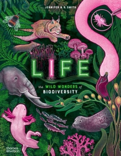 Life : The wild wonders of biodiversity