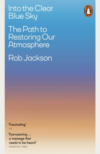 Into the Clear Blue Sky : The Path to Restoring Our Atmosphere