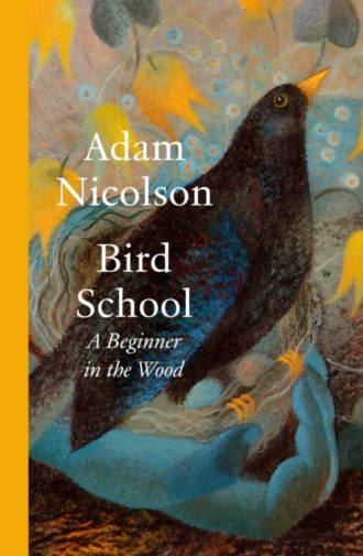 Bird School : A Beginner in the Wood