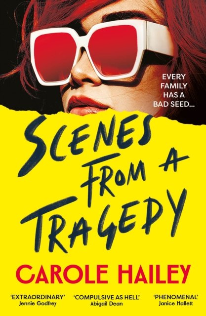 Scenes from a Tragedy : an addictive, gripping thriller from the bestselling author of The Silence Project