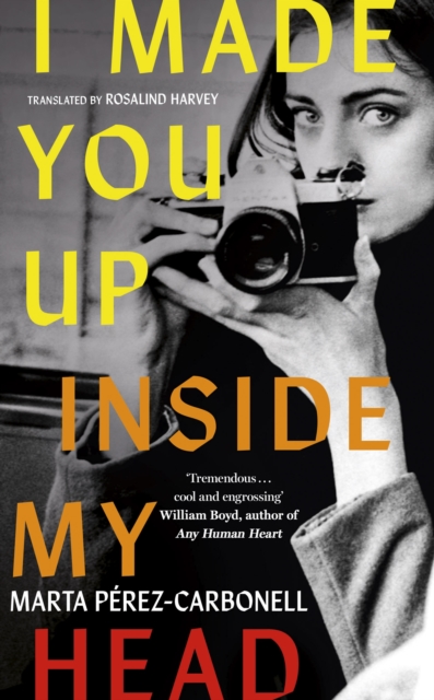 I Made You Up Inside My Head : The addictive novel about a shocking literary scandal